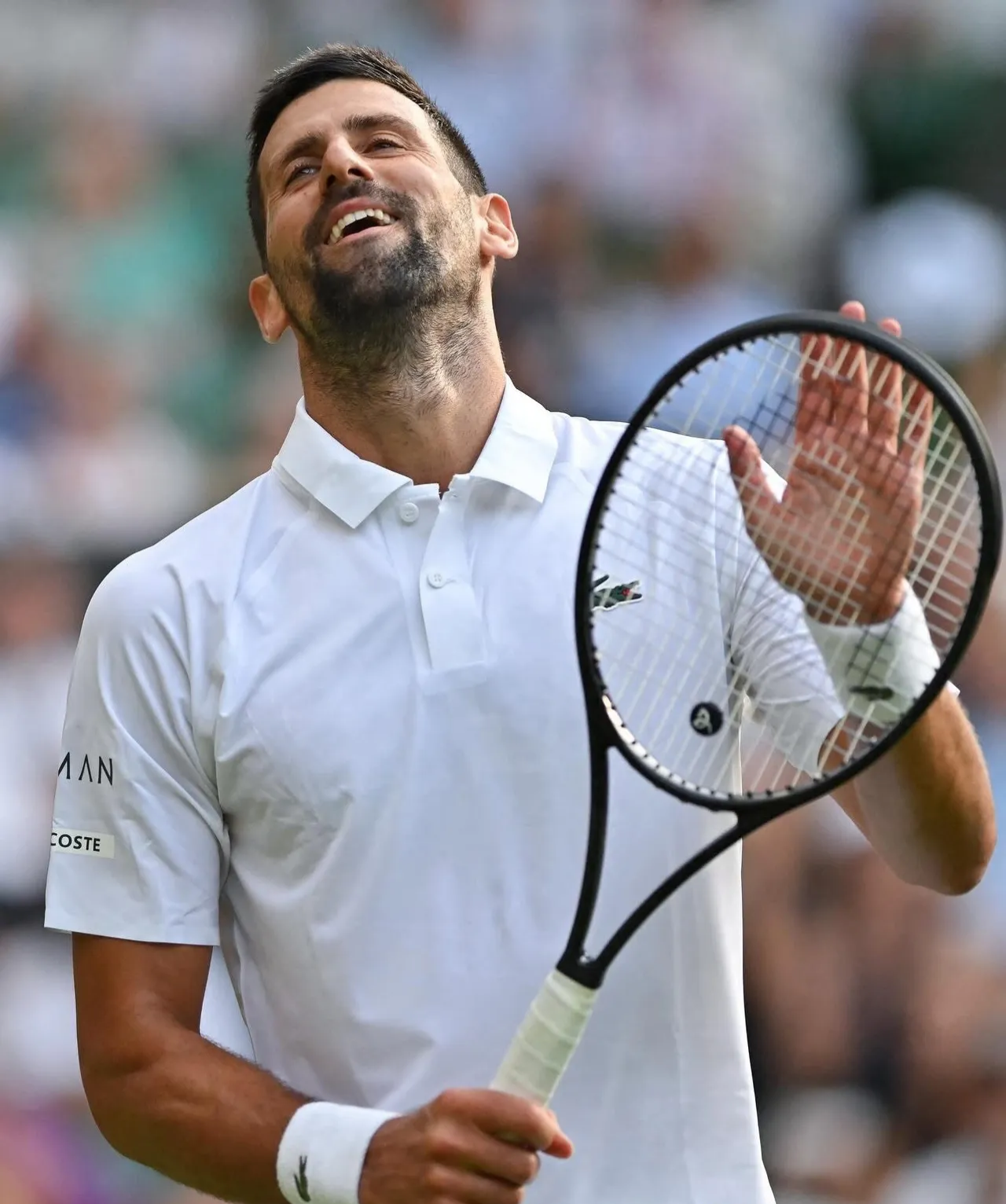 关于拉沃尔杯绝杀温网,德约科维奇惊艳四座的信息 关于拉沃尔杯绝杀温网,德约科维奇惊艳四座的信息