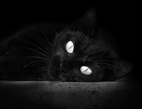 孤星难耀长夜，班凯罗41分存在感拉满，却成火箭群狼撕碎山西队最后背景