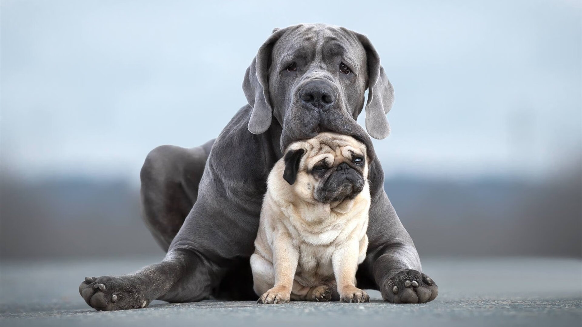 从隐形到主宰，西亚卡姆用最后90秒撕碎新疆，诠释何为大场面先生