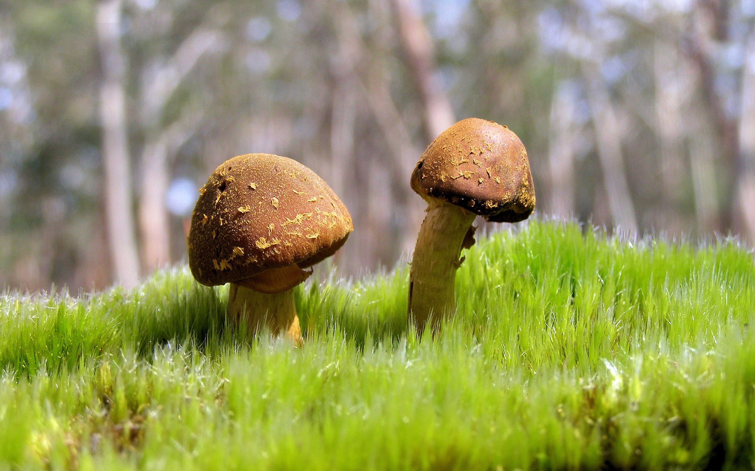 致敬与颠覆，两场球赛如何重塑我们对篮球的认知？