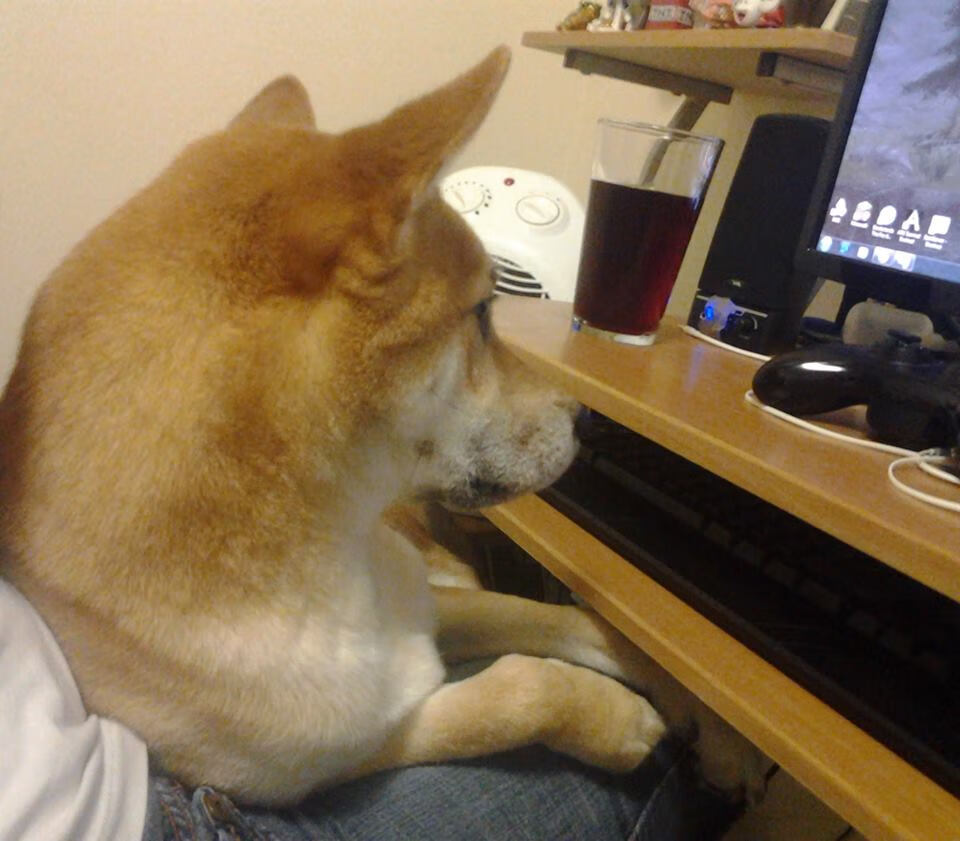 绿茵场上的制动点，若日尼奥的关键罚球与F1冠军夜的终极弯道