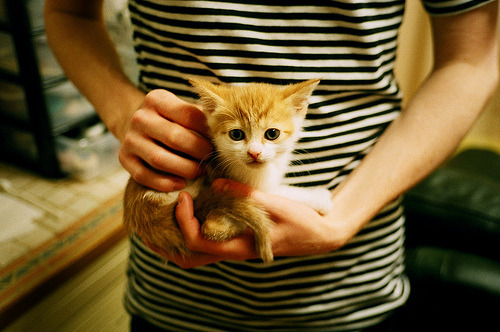 新奥尔良交响诗，当范弗利特执棒，鹈鹕的防守赋格如何让亚特兰大之鹰静默