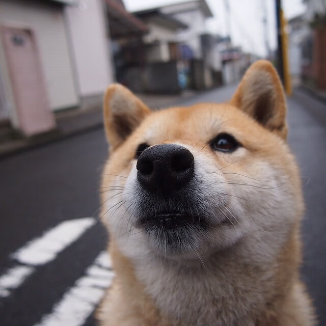 雷火电竞官网-钢铁防线被击穿！委内瑞拉逆袭墨西哥，卡瓦哈尔成关键先生