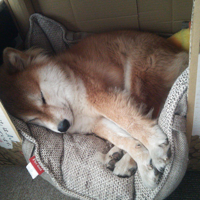 雷火电竞网址-以下是为您创作的唯一性文章