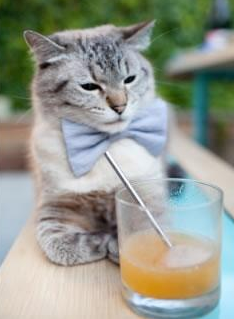 雷火电竞简介-唯一的克莱，唯一的夜晚，当个人英雄主义与团队绞杀在此刻完美合奏